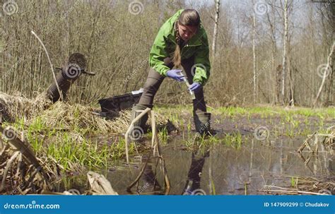 Ecologist Getting Samples of the Water Stock Image - Image of ecologist, conservation: 147909299