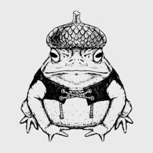 Vintage Illustration Frog Clipart Free Stock Photo - Public Domain Pictures