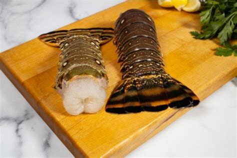 Buy Lobster Tails, 8oz (Wild, Caribbean) Online | Mercato