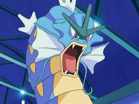 Crasher Wake's Gyarados (anime) | Pokémon Wiki | FANDOM powered by Wikia