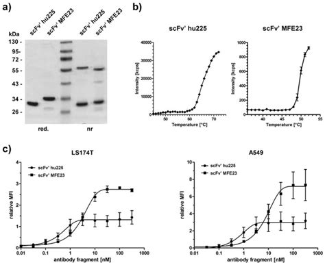 Antibodies | Special Issue : Bispecific Antibodies for Dual Targeting Strategies