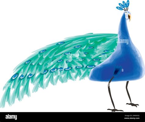 peacock bird watercolor Stock Vector Image & Art - Alamy