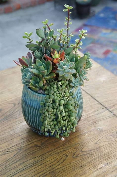 Nice 30 Mixed Potted Succulent Pot Ideas https://gardenmagz.com/30 ...