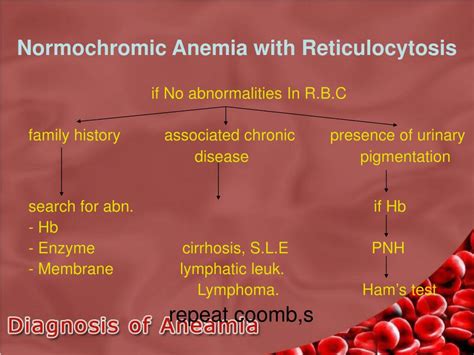 PPT - Diagnosis Of A Case Of Anemia PowerPoint Presentation, free ...