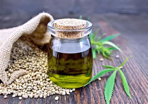 Cannabis Sativa Seed Oil is Surprisingly Good For Your Body