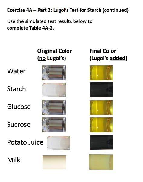 Solved Exercise 4A - Part 2: Lugol's Test for Starch | Chegg.com