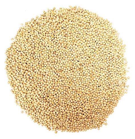 White Millet Proso Bulk Bird Seed (10 Pounds) | Pricepulse