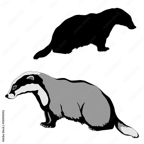 animal badger black silhouette realistic Stock Vector | Adobe Stock