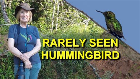 We Found a RARE HUMMINGBIRD in the Amazon Rainforest