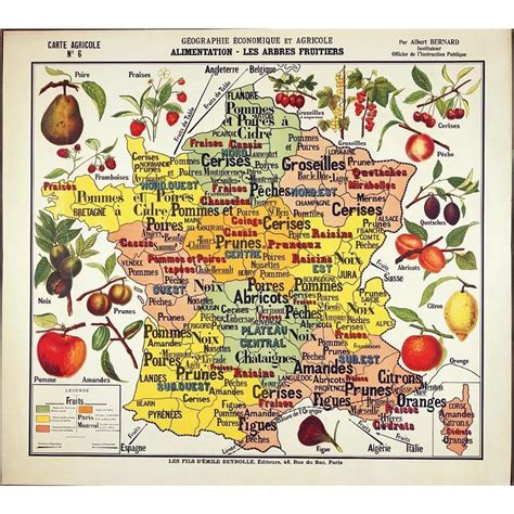 Map of the different regions of fruit tree... - Maps on the Web