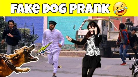 Fake DoG Prank on people | part 1 | By AJ Pranks - YouTube