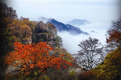 王屋秋韵 - 济源全域旅游 - 愚公故里，山水济源！