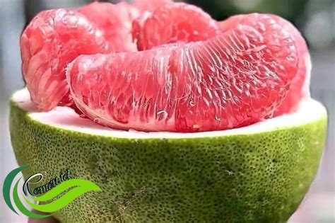 Jeruk Bali, Jeruk Terbesar dan Kaya Vitamin C itu Bukan Tanaman Asli Pulau Bali - Media ...