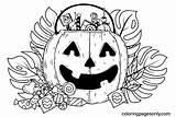 Unicorn Halloween Coloring Sheet  Pages sketch template