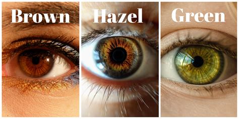 What is the best hair color for hazel eyes? - Hair Adviser