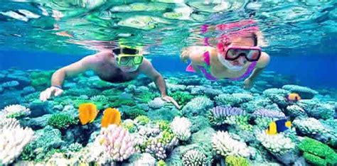 10 Best Budget Islands with House Reef Snorkeling in The Maldives 2024 ...