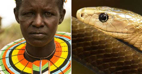 This Woman Survived One Of The Deadliest Snake Attacks | HuffPost UK Impact