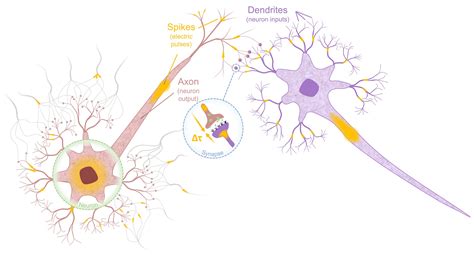 Neuron and Synapse-Mimetic Spintronics Devices Developed | Asia Research News