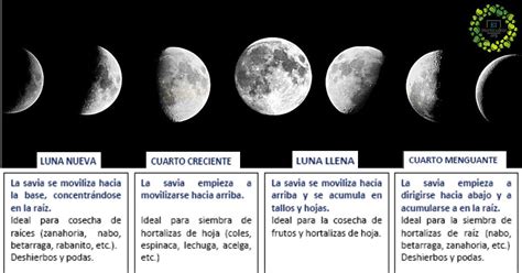 Que Es La Luna En La Carta Astral - Compartir Cartas