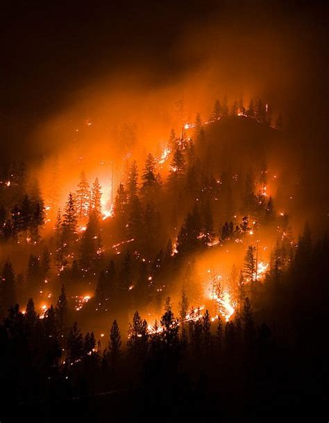 montana wildfire, forest fire | Fire photography, Forest fire, Natural disasters