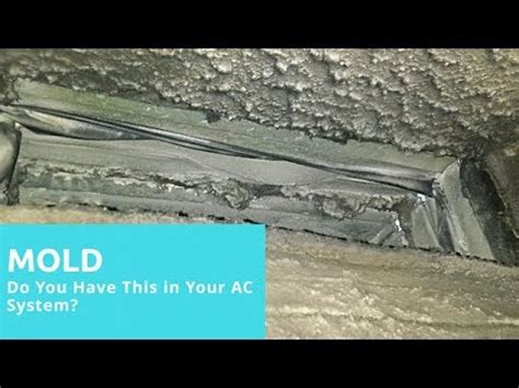 Do You Have This IN Your Vents? Mold in AC Vent - YouTube