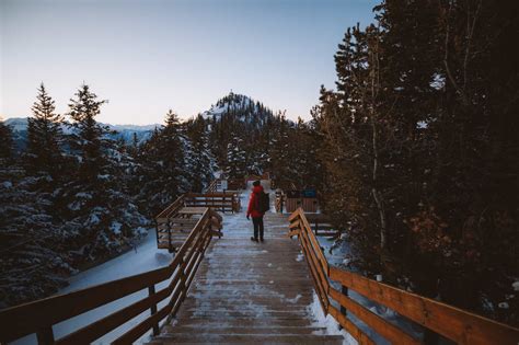 The Essential Guide To The Banff Gondola in The Winter - Best ...