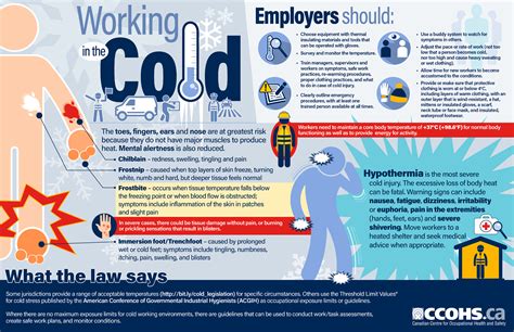 Working in the Cold Infographic