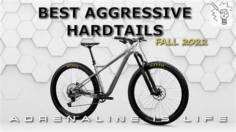 Best Hardtail Mountain Bikes 2022 | 6 Aggressive Hardtail MTB under $3K | - YouTube