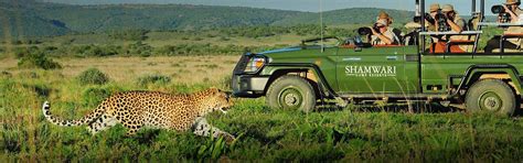 South African Tour - A Comprehensive Guide - Shamwari