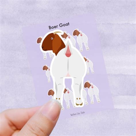 Boer Goat - Etsy