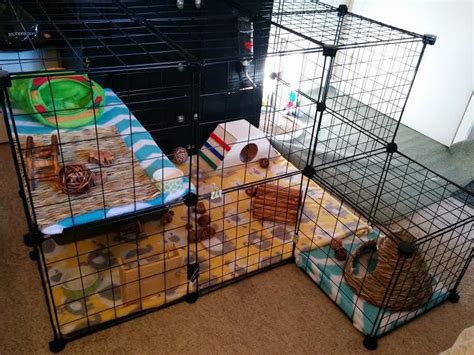 Need some ideas or inspiration for building your own indoor rabbit cage? Here's a great idea ...