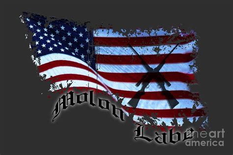 Molon Labe Flag Photograph by Karen Goodwin - Fine Art America