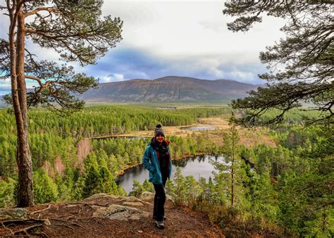 Things to do in Aviemore and the Cairngorms National Park