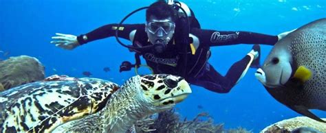 Andaman Scuba Diving, Best Season For Scuba Diving in Andaman