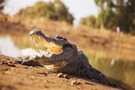 The Four National Parks Of Burkina Faso - WorldAtlas