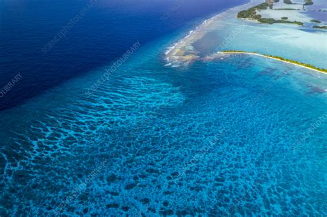 Palmyra Atoll and reef, aerial photograph - Stock Image - C057/3856 ...