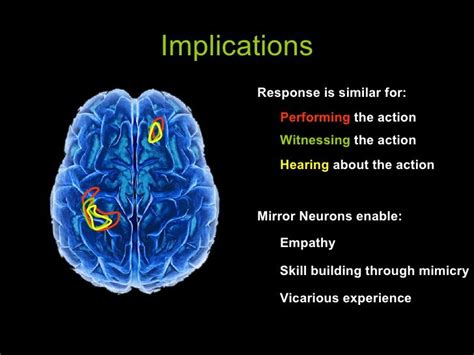 Mirror Neurons and How to Harness Them | Mirror neuron, Neurons, Brain ...