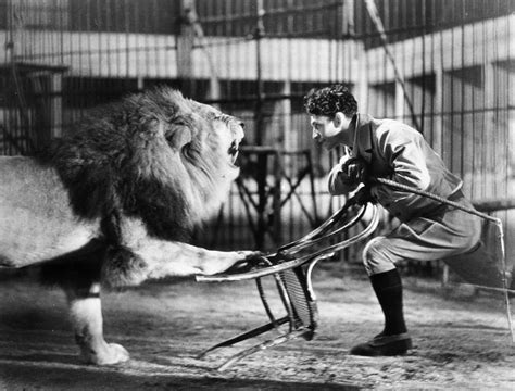 LION TAMER, 1930s Photograph by Granger