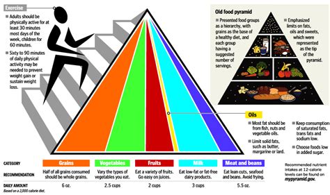 A Healthy Example: Our Introduction to the New Food Pyramid - Cleverly Changing