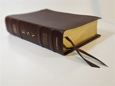 Leather bound esv bible - masawo