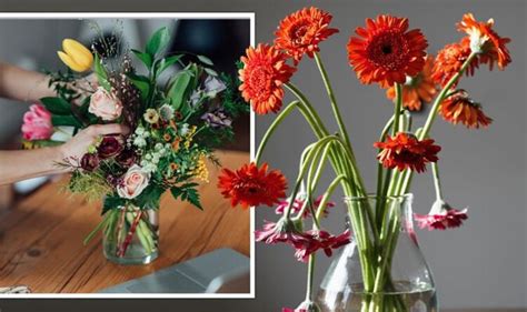 How to stop cut flowers from wilting - five key steps to keep blooms ...