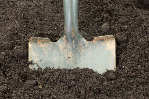 Shovel Digging Stock Photo - Download Image Now - iStock