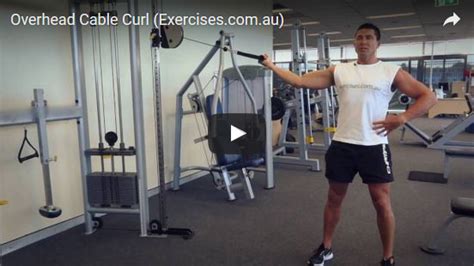 Overhead Cable Curl | exercises.com.au