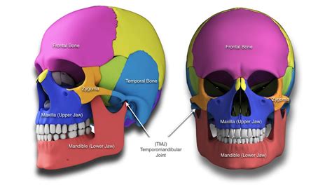 Jaw Surgery for Orthodontics (Maxilla and Mandible) - Kids Dental Online - Plano & Carrollton