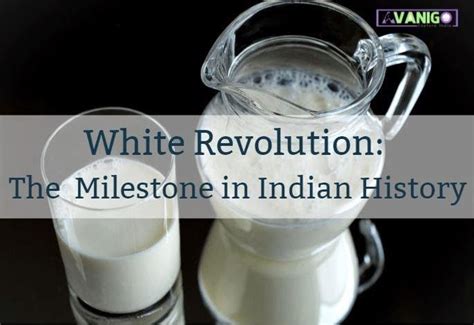 What is White Revolution in India? - AvaniGo