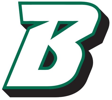 Binghamton Bearcats Logo