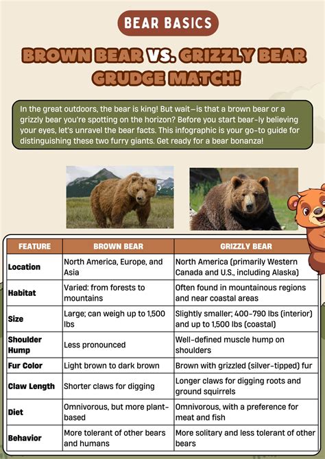 Brown Bear vs. Grizzly Bear: Differences between these Bears • 7ESL