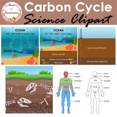 Carbon Cycle Clipart | Fossil Fuel Science Clip art | Made By Teachers