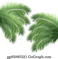 900+ Illustrations of Palm Leaf Border | Royalty Free - GoGraph