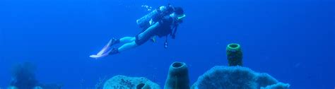 Belize Scuba Diving Adventures | Island Expeditions